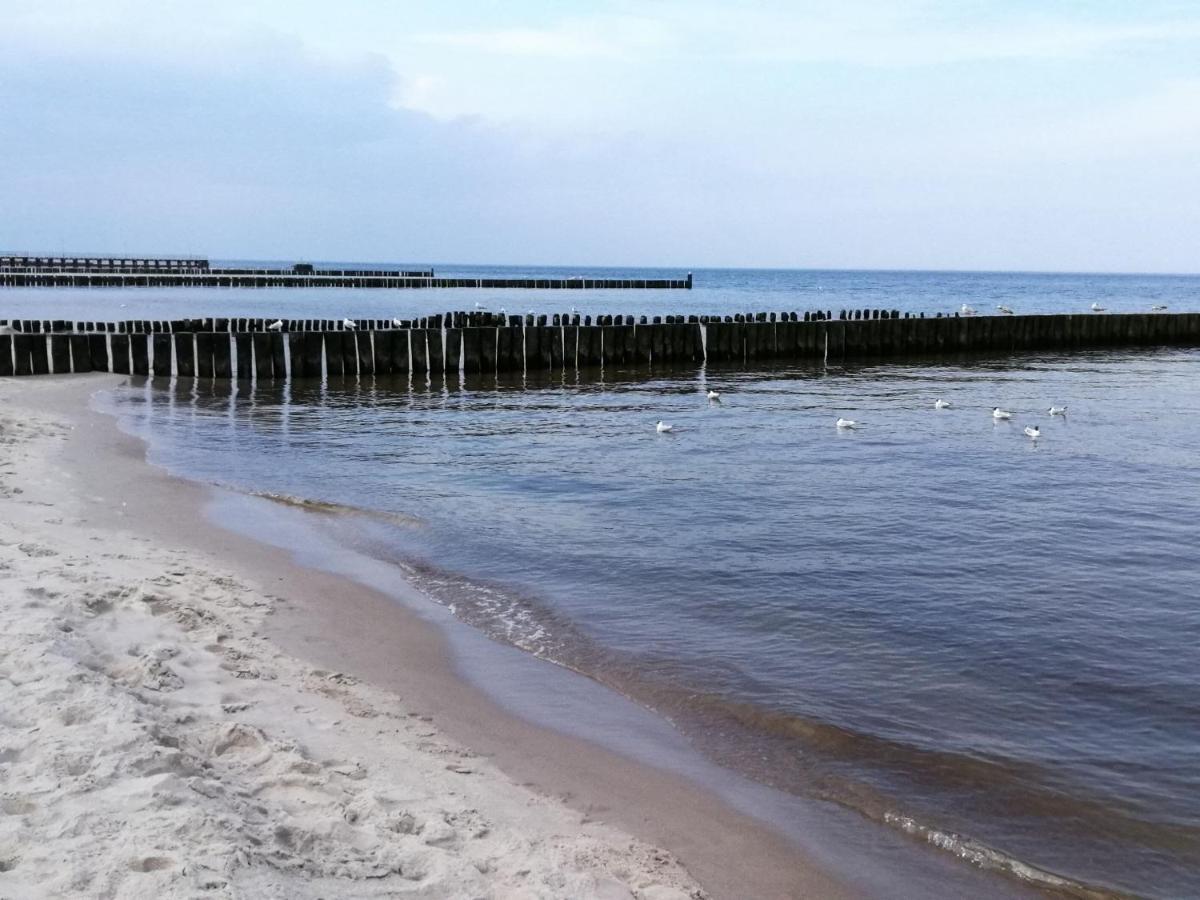 Seaside Premium Apartments Apartament Nadmorski Family Comfort Sailor Ustronie Morskie Buitenkant foto